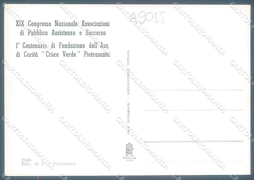 Lucca Pietrasanta Marina saluti da Alterocca 22585 Foto FG cartolina JK3474 – retro