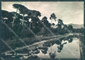 Lucca Pietrasanta Marina Fiumetto Pineta Foto FG cartolina JK3482 – fronte