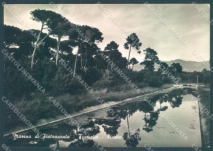Lucca Pietrasanta Marina Fiumetto Pineta Foto FG cartolina JK3482 – fronte