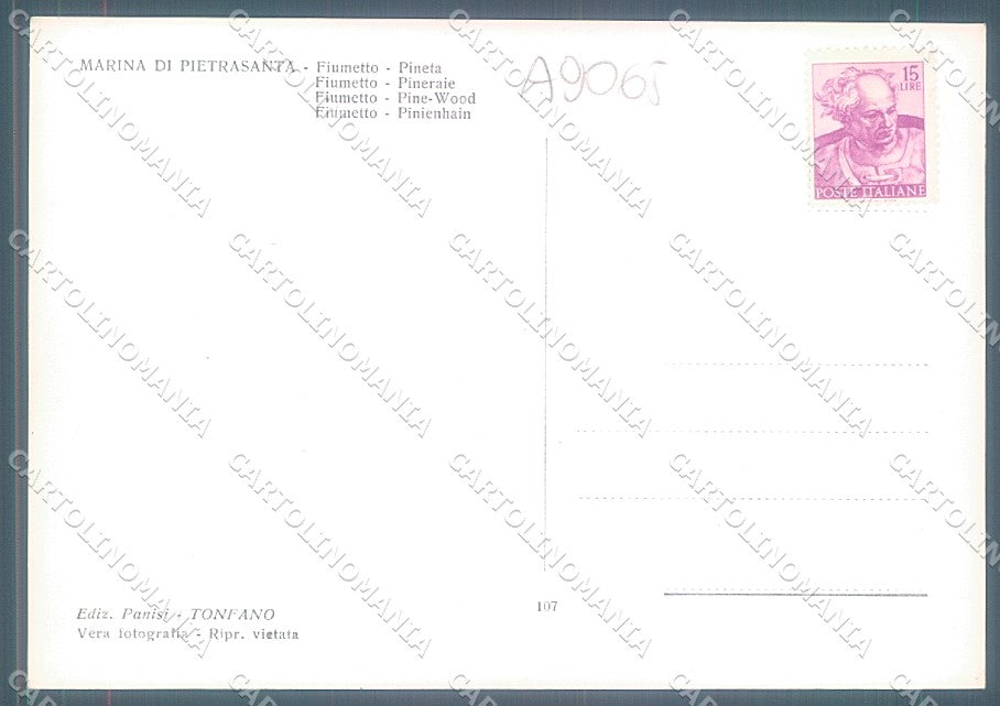 Lucca Pietrasanta Marina Fiumetto Pineta Foto FG cartolina JK3482 – retro