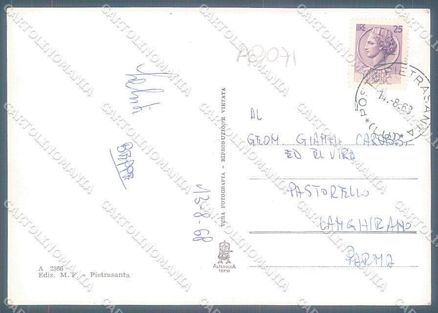 Lucca Pietrasanta Capriglia Alterocca 2366 Foto FG cartolina JK3485 – retro
