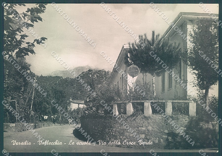Lucca Pietrasanta Vallecchia Via Croce Verde Scuole Foto FG cartolina JK3487 – fronte