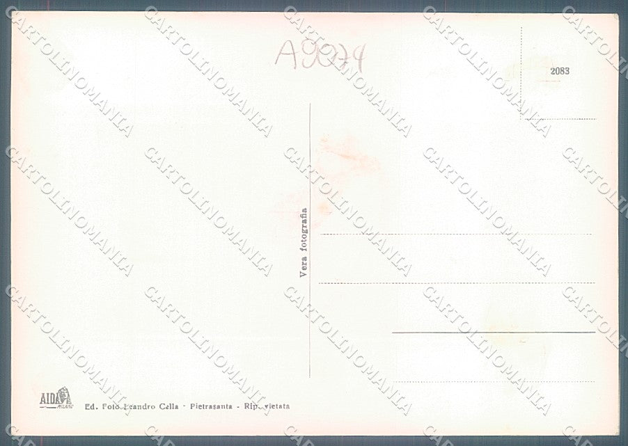 Lucca Pietrasanta Vallecchia Via Croce Verde Scuole Foto FG cartolina JK3487 – retro