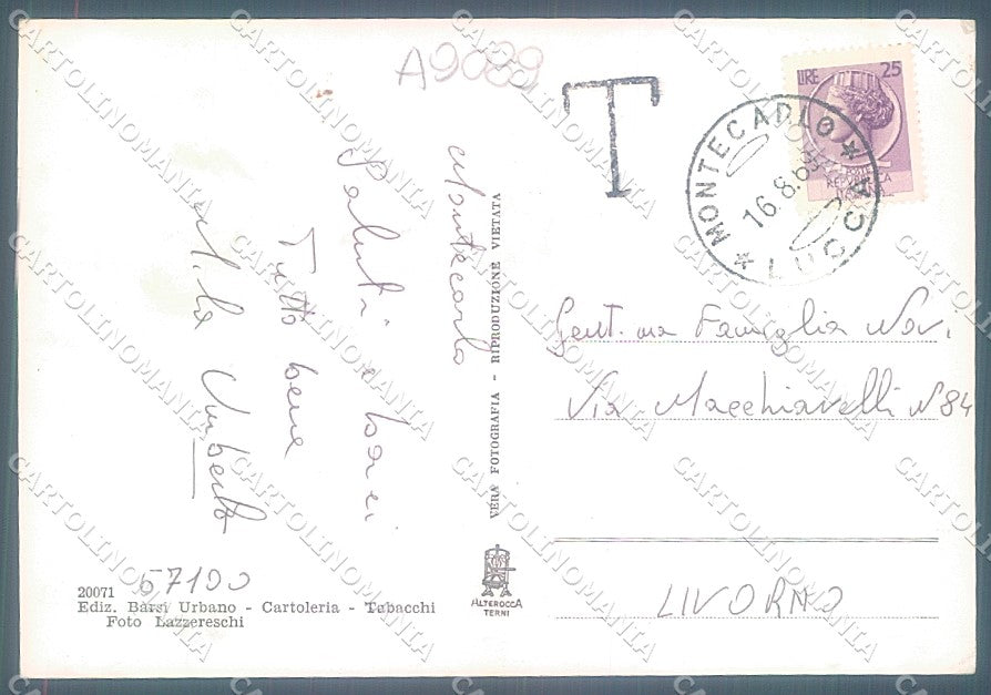 Lucca Montecarlo Castello Alterocca 20071 saluti da Foto FG cartolina JK3494 – retro