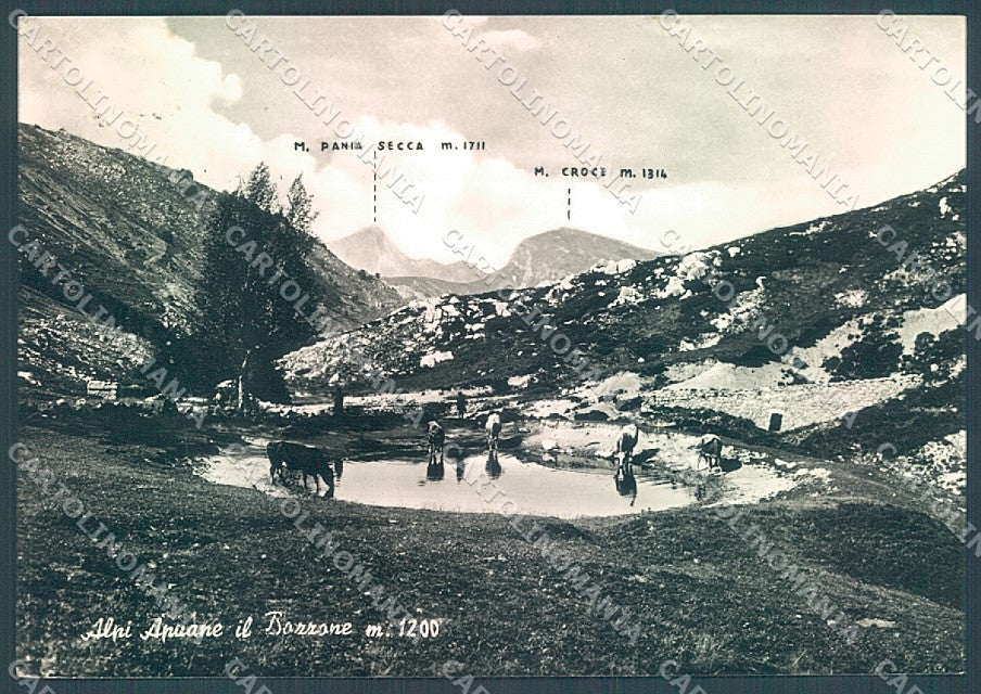 Lucca Stazzema Palagnana Pascolo Foto FG cartolina JK3496 – fronte