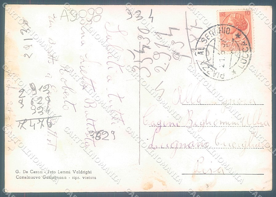 Lucca Piazza al Serchio Foto FG cartolina JK3497 – retro