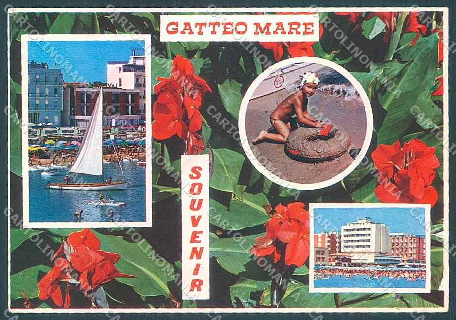 Forlì Gatteo Mare souvenir di Foto FG cartolina JK3524 – fronte