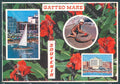 Forlì Gatteo Mare souvenir di Foto FG cartolina JK3524 – fronte