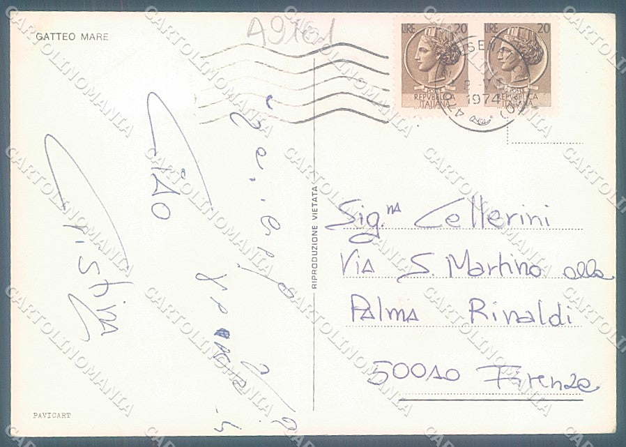 Forlì Gatteo Mare souvenir di Foto FG cartolina JK3524 – retro