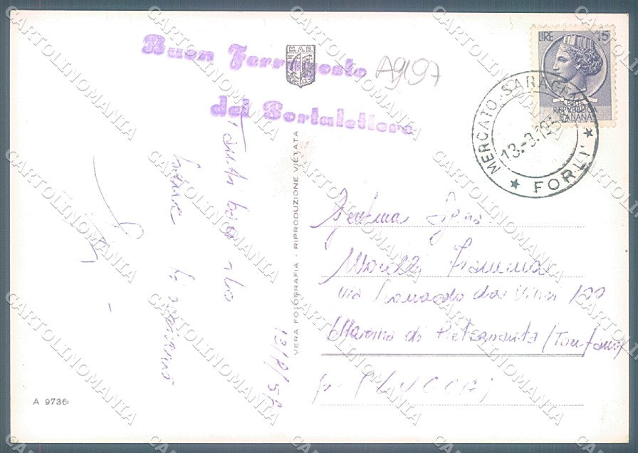 Forlì Mercato Saraceno PIEGHINE Foto FG cartolina JK3538 – retro