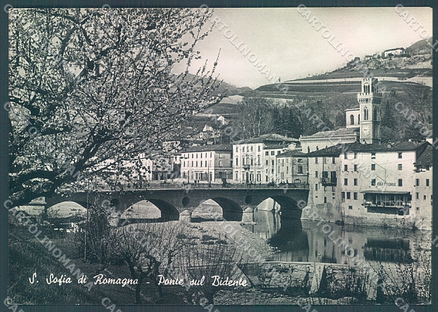 Forlì S. Sofia di Romagna Ponte sul Bidente Foto FG cartolina JK3544 – fronte