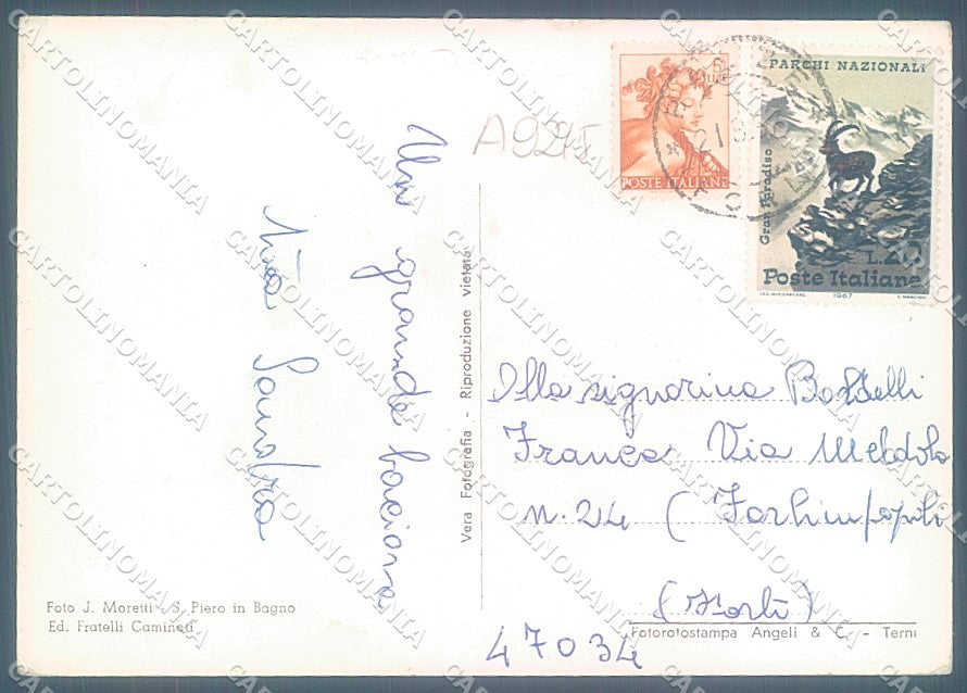 Forlì Verghereto Balze Foto FG cartolina JK3550 – retro