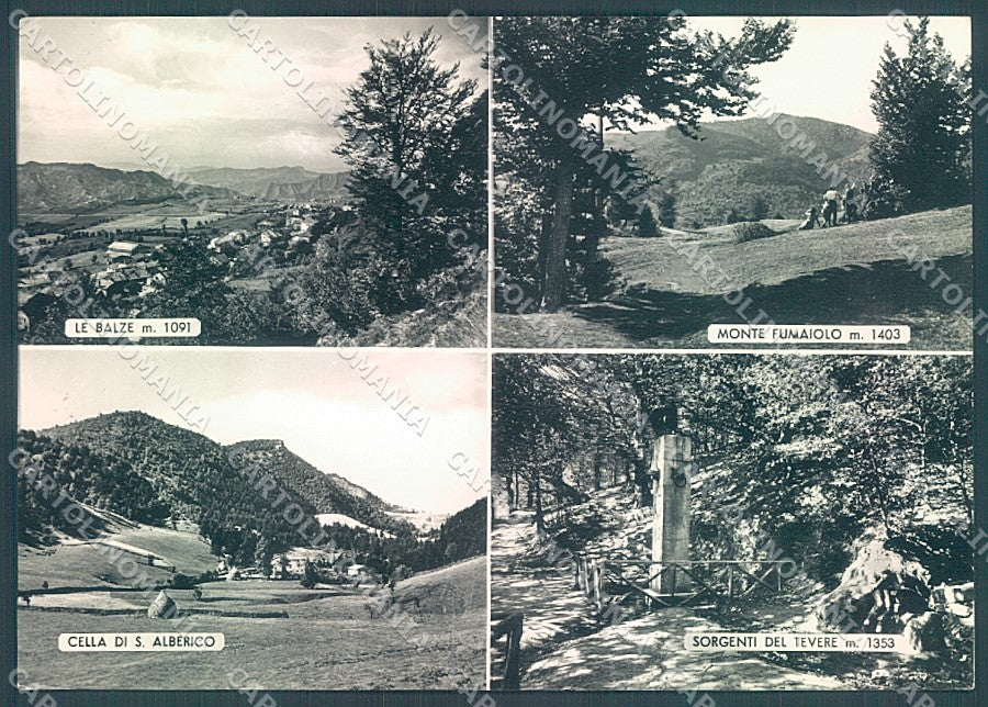 Forlì Verghereto Balze Foto FG cartolina JK3574 – fronte