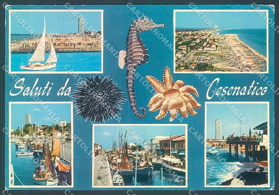 Forlì Cesenatico Porto Canale Spiaggia saluti da FG cartolina JK3584 – fronte