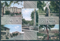 Forlì Bertinoro Fratta saluti da Foto FG cartolina JK3598 – fronte