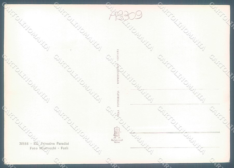 Forlì Predappio Alterocca 30188 Foto FG cartolina JK3601 – retro