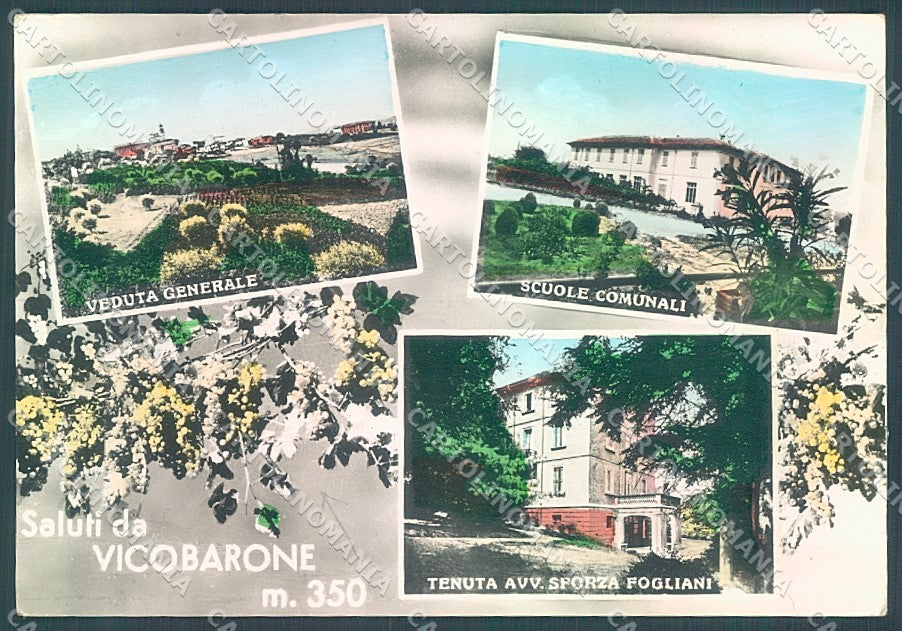 Forlì Ziano Piacentino Vicobarone saluti da PIEGHINA Foto FG cartolina JK3609 – fronte