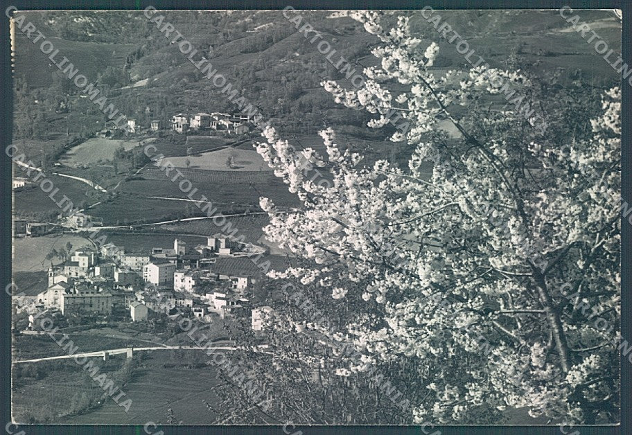 Piacenza Pecorara Foto FG cartolina JK3647 – fronte