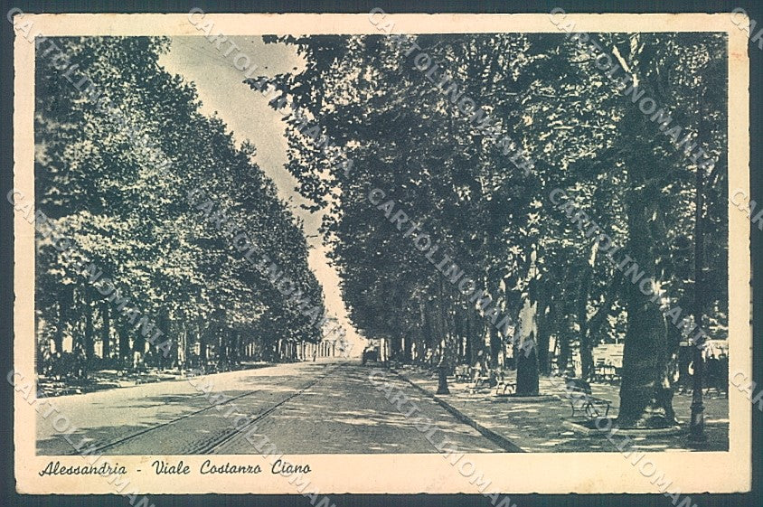 Alessandria Città Viale Costanzo Ciano cartolina JK3675 – fronte