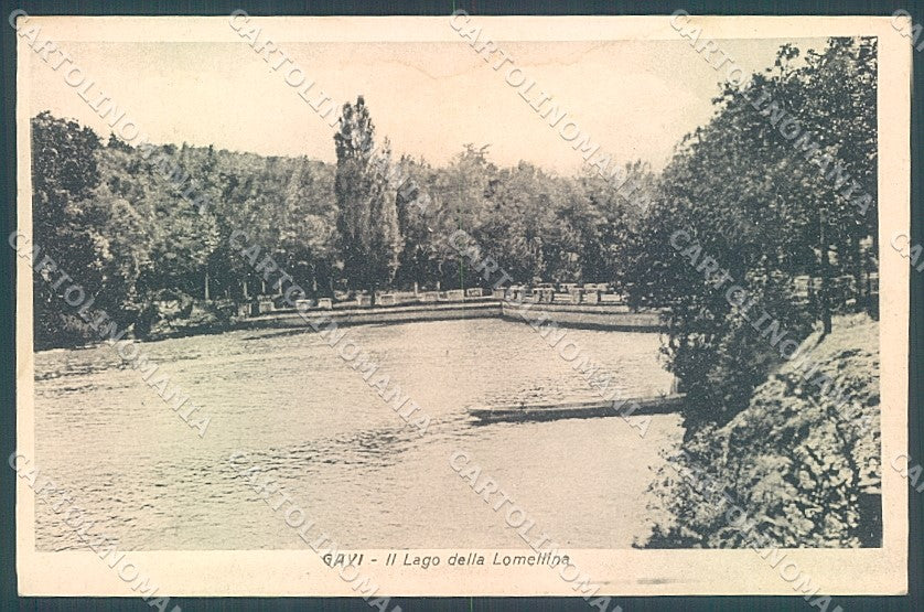 Alessandria Gavi Lago Lomellina TRACCE UMIDO cartolina JK3703 – fronte