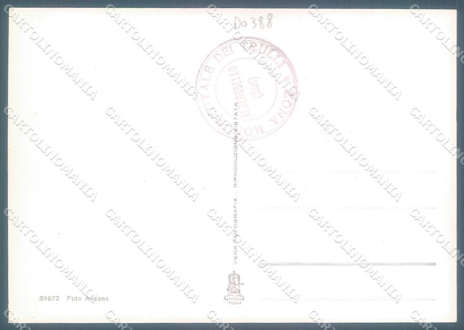 Bari Alberobello Trulli Zona Monumentale Alterocca Foto FG cartolina JK4129 – retro