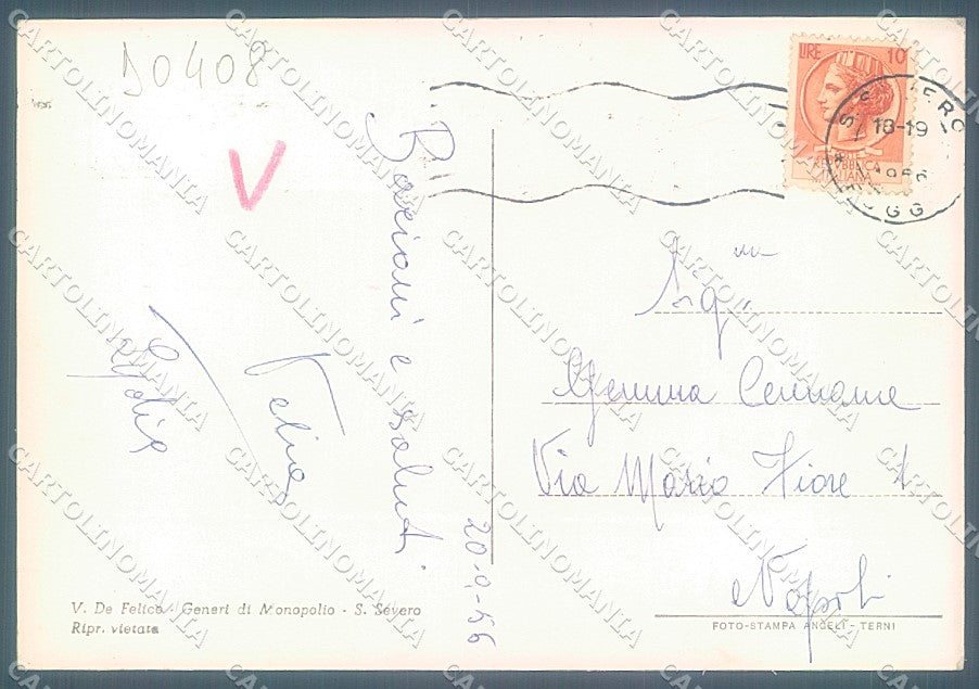Foggia San Severo Corso Garibaldi saluti da Foto FG cartolina JK4134 – retro