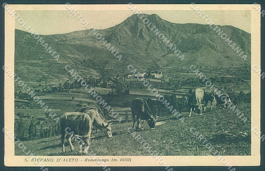 Genova Santo Stefano d'Aveto Pascolo cartolina JK4170 – fronte