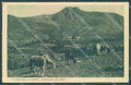 Genova Santo Stefano d'Aveto Pascolo cartolina JK4170 – fronte