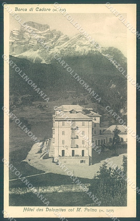 Belluno Borca di Cadore Hotel des Dolomites Breveglieri 1089 cartolina JK4223 – fronte