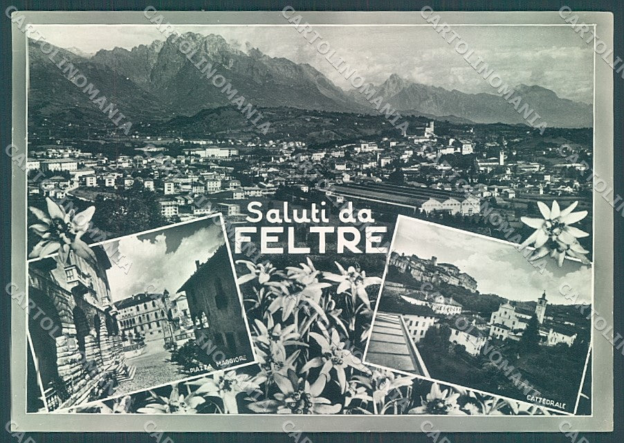 Belluno Feltre saluti da Foto FG cartolina JK4237 – fronte