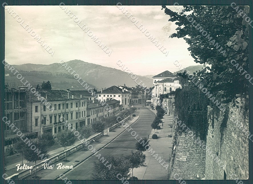 Belluno Feltre Via Roma Foto FG cartolina JK4238 – fronte