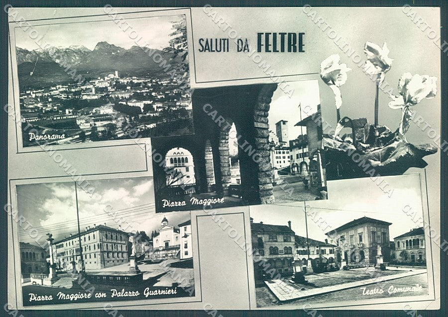 Belluno Feltre saluti da PIEGA ANGOLO Foto FG cartolina JK4240 – fronte
