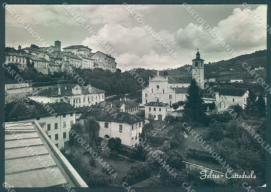 Belluno Feltre Cattedrale Foto FG cartolina JK4241 – fronte