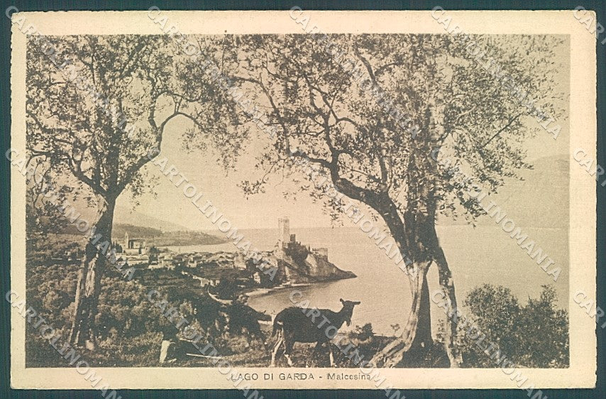 Verona Malcesine Lago di Garda cartolina JK4284 – fronte