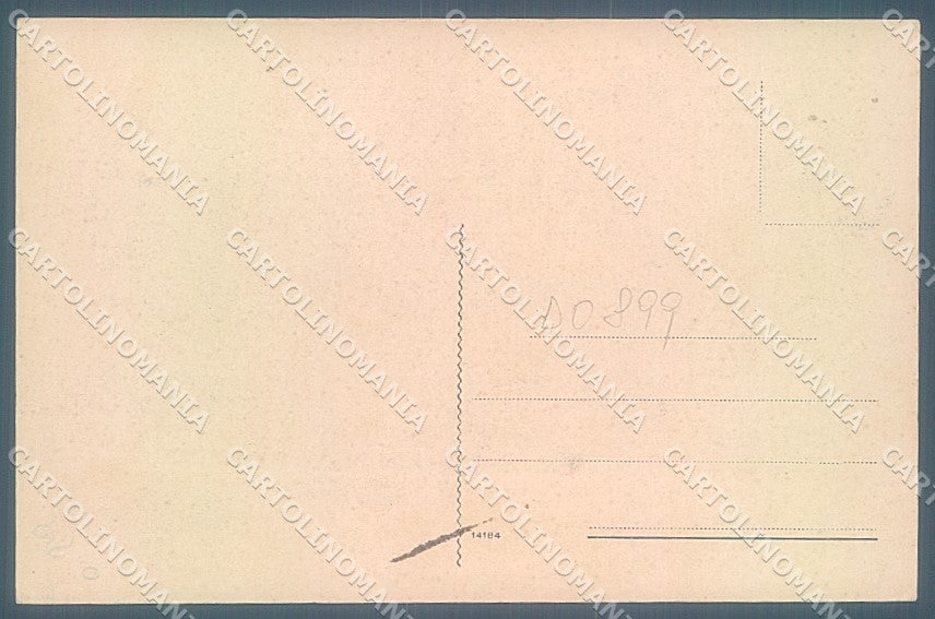 Potenza Trivigno saluti da cartolina JK4291 – retro