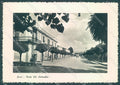 Frosinone Sora Viale XX Settembre Foto FG cartolina JK4307 – fronte