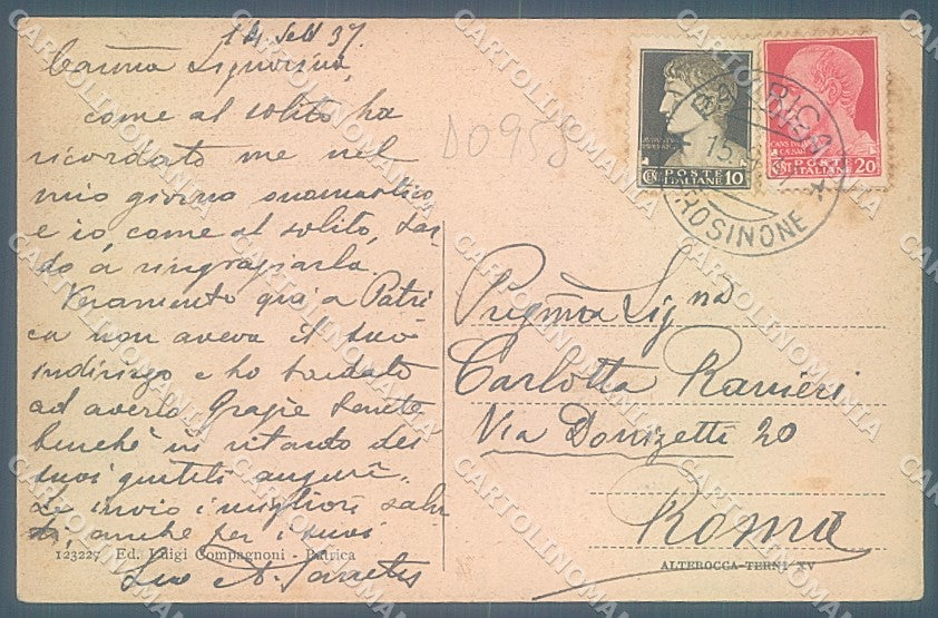 Frosinone Patrica saluti da Alterocca 123227 cartolina JK4309 – retro