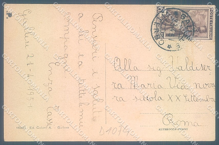Viterbo Gallese Palazzo Ducale Alterocca 16943 cartolina JK4344 – retro