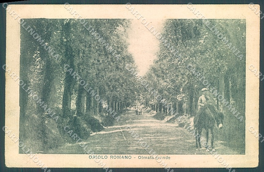 Viterbo Oriolo Romano Olmata Grande PIEGA cartolina JK4350 – fronte