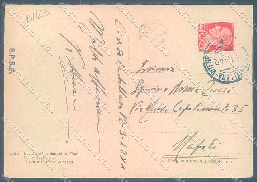 Viterbo Civita Castellana Viale Flaminio FG cartolina JK4369 – retro