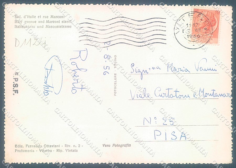 Viterbo Città Corso Italia Via Marconi Foto FG cartolina JK4370 – retro