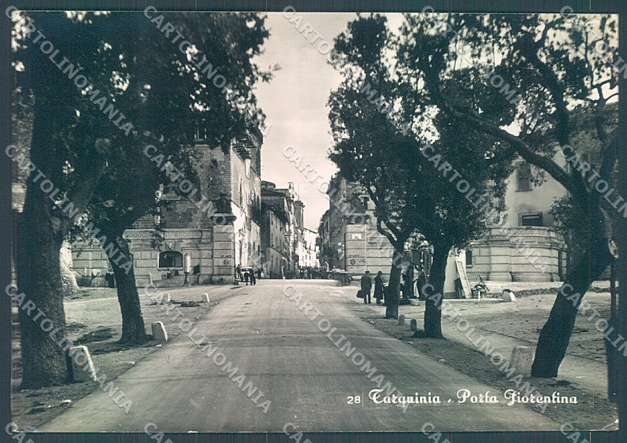 Viterbo Tarquinia Porta Fiorentina Foto FG cartolina JK4373 – fronte