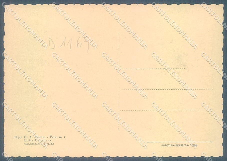 Viterbo Civita Castellana FG cartolina JK4387 – retro