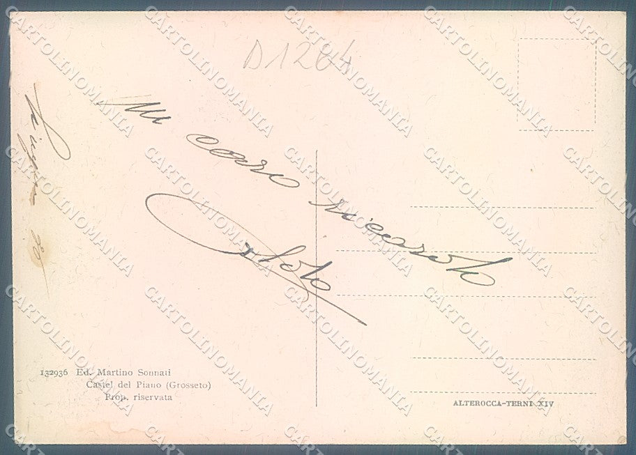 Grosseto Castel del Piano Alterocca 132936 FG cartolina JK4437 – retro