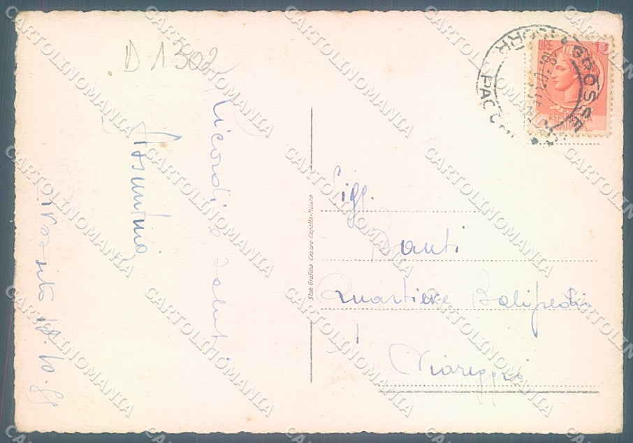 Grosseto Città Casa del Popolo PIEGHINE FG cartolina JK4454 – retro