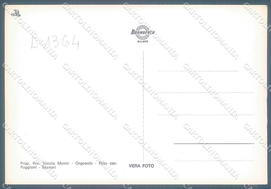 Nuoro Orgosolo saluti da Foto FG cartolina JK4479 – retro