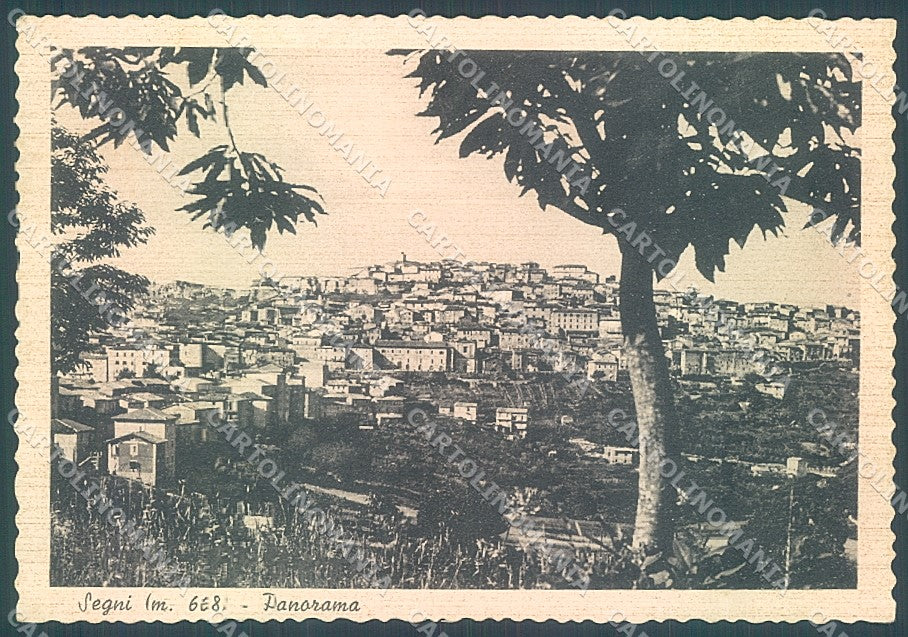 Roma Segni FG cartolina JK4538 – fronte