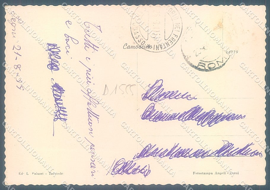 Roma Segni FG cartolina JK4538 – retro