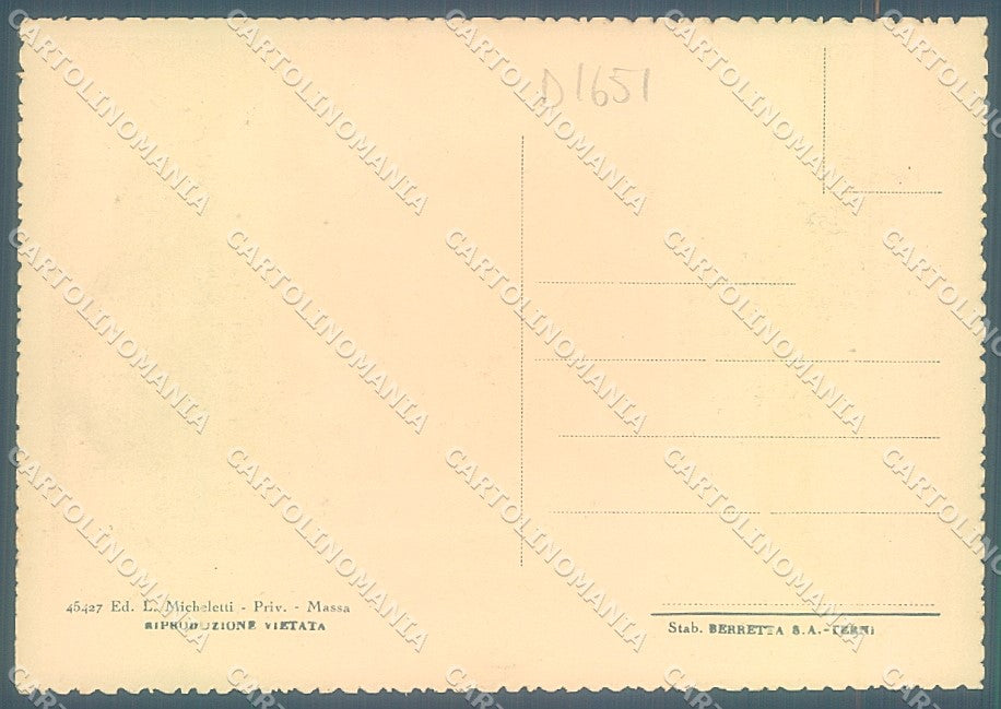 Massa Carrara Città Viale XX Settembre FG cartolina JK4567 – retro