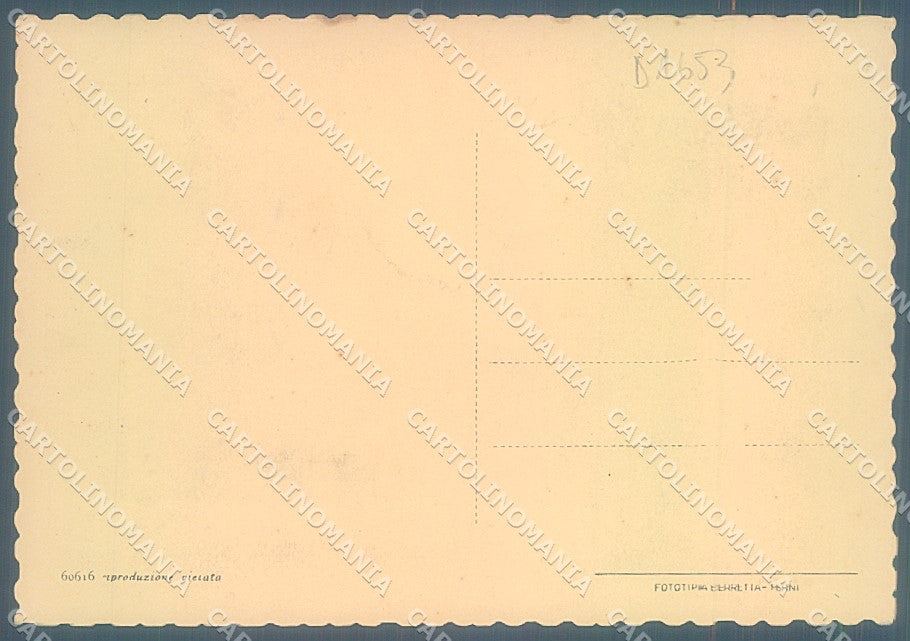 Massa Carrara Ronchi FG cartolina JK4568 – retro